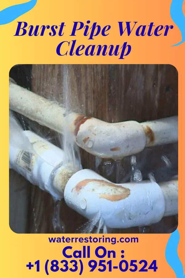 Burst Pipe Water Cleanup in South Wilmington, IL