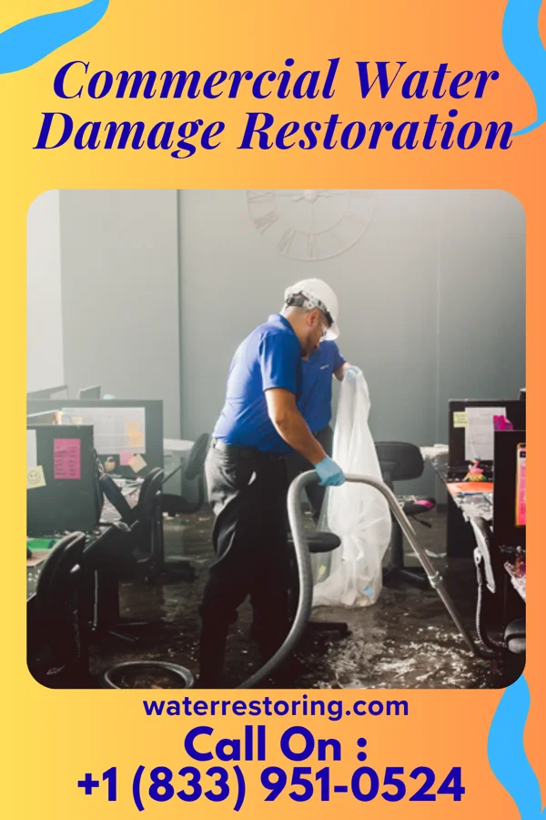 Commercial Water Damage Restoration in South Wilmington, IL