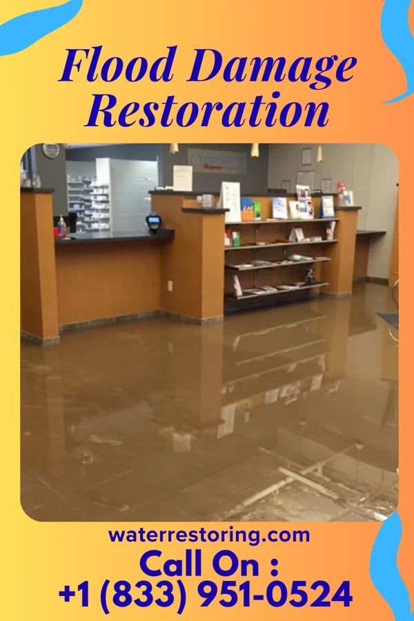 Flood Damage Restoration in South Wilmington, IL