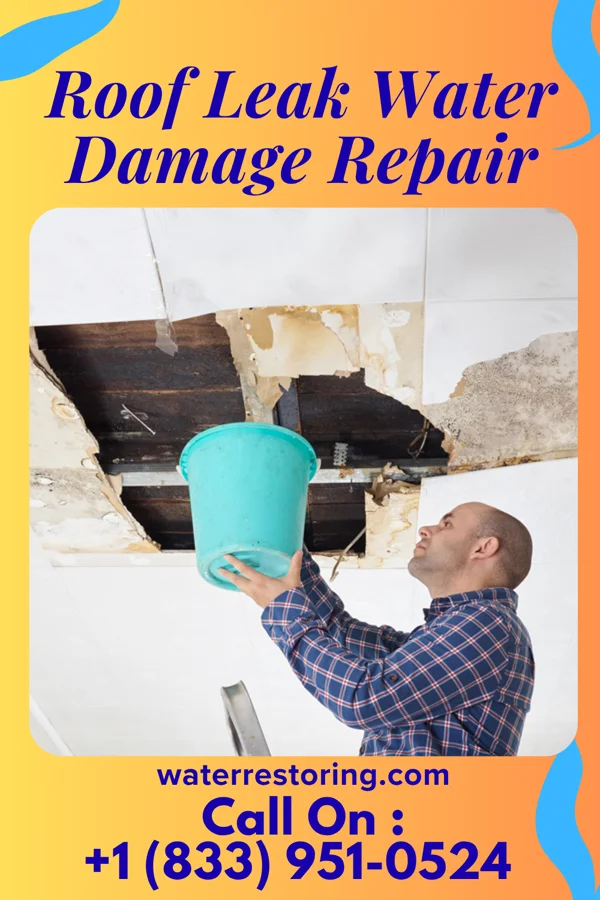 Roof Leak Water Damage Repair in South Wilmington, IL